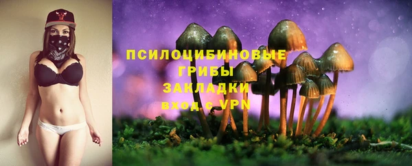 молекула духа Кодинск