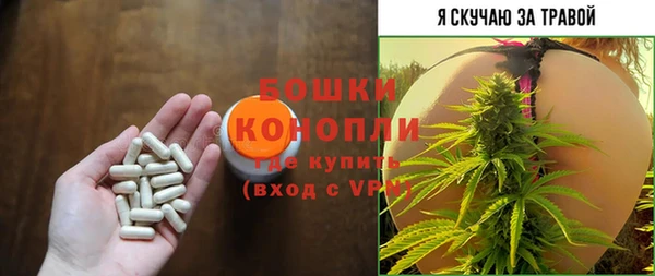 эйфоретик Чегем