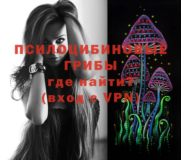 молекула духа Кодинск