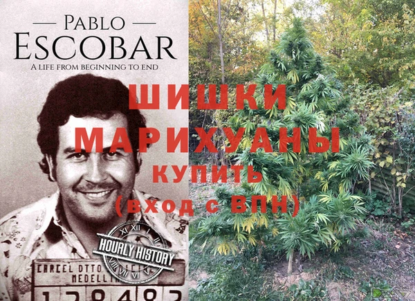 спайс Козловка