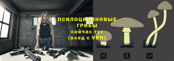 молекула духа Кодинск