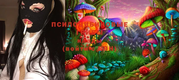 молекула духа Кодинск